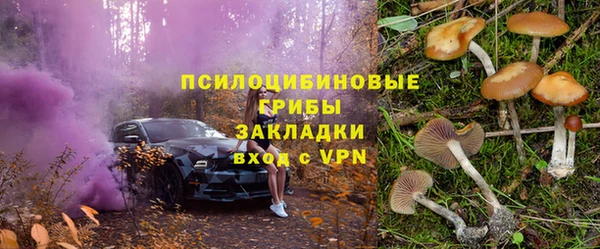 дживик Магадан
