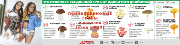 дурь Лиски