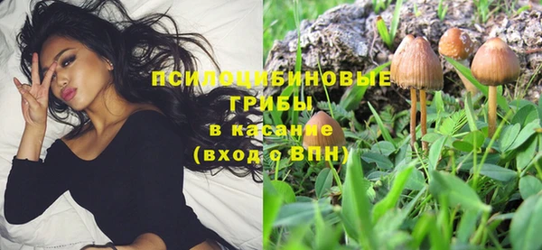 дживик Лихославль